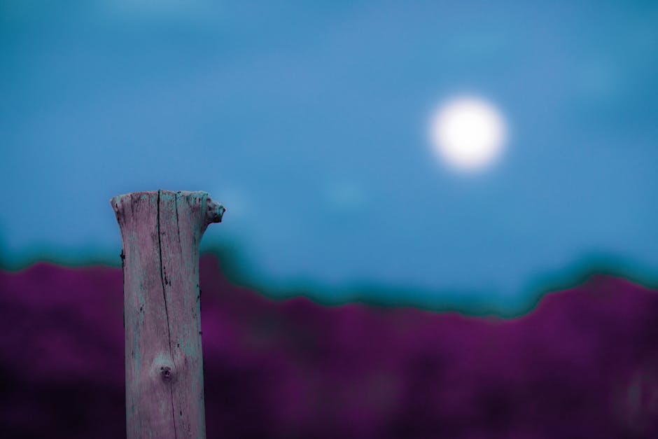 Sigirdili Bitki ruya sembolu